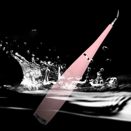 Electric toothbrush cleaner